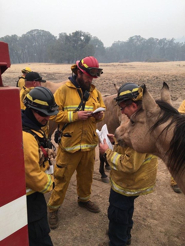 Trinity County’s Weaverville Fire Department posted this and said, “Strike Team 3275c members briefing the locals on today’s operations. There will be no horsing around.” - WEAVERVILLE FIRE