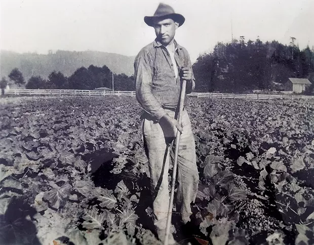 Paul Giuntoli's grandfather Giovanni Giuntoli on the family farm. - COURTESY OF PAUL GIUNTOLI