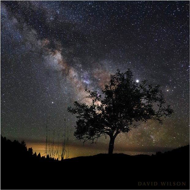 Some of the visible galactic points of interest that are reasonably identifiable passing over the old pear tree as Earth spins beneath them. Humboldt County, California. - DAVID WILSON