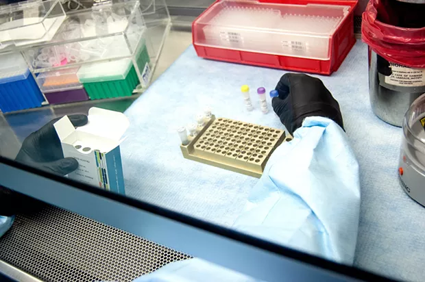 COVID-19 testing in the Humboldt County Public Health Laboratory. - COURTESY OF THE HUMBOLDT COUNTY DEPARTMENT OF HEALTH AND HUMAN SERVICES