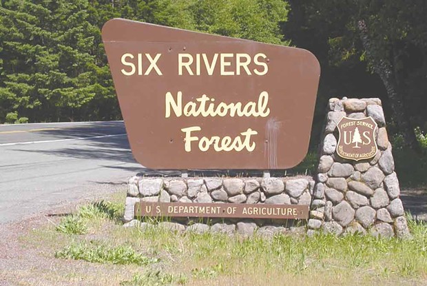 The Six Rivers National Forest was established in 1947. - PHOTO BY HEIDI WALTERS
