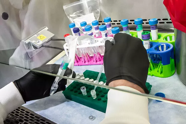 A Humboldt County Public Health Laboratory employee processes a COVID-19 test. - PUBLIC HEALTH
