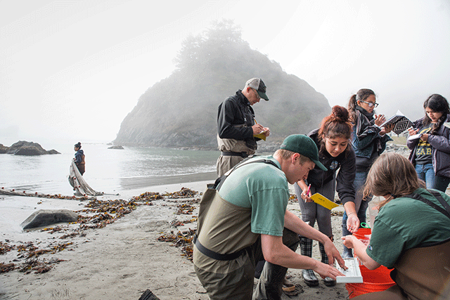 Hsu 2023 Calendar Hsu Expanding Curriculum With Polytechnic Push | News Blog