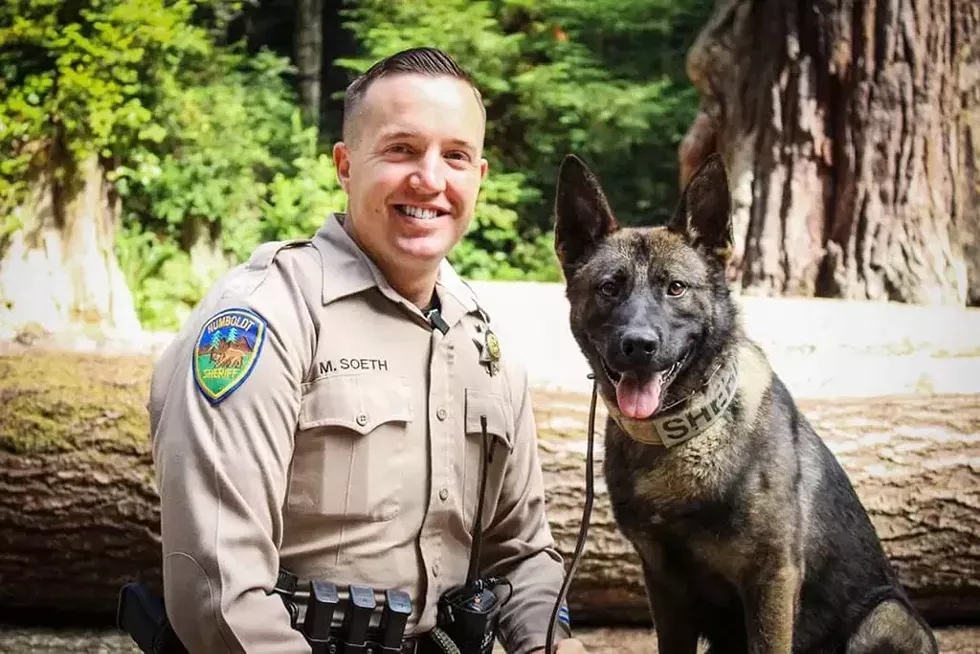 Humboldt County Sheriff's Office deputy Maxwell Soeth with his first canine with the department, Gusto, in 2018. - HCSO