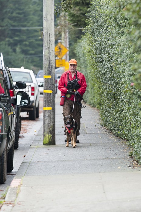 A search dog named Elsi was brought in to try and find a scent trail of the missing red panda Masala. According to her handler, conditions were fairly good for the wilderness trailing trained dog to follow a scent trail. - MARK MCKENNA
