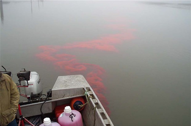 Scientists will use a nontoxic red dye to track the movement of wastewater in Humboldt Bay. - COURTESY OF HUMBOLDT COUNTY DIVISION OF ENVIRONMENTAL HEALTH