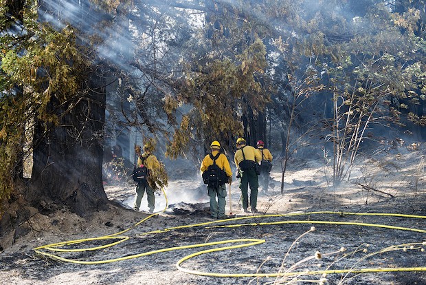 Crews from Cal Fire fight a blaze just north of Stafford on Thursday. - MARK MCKENNA