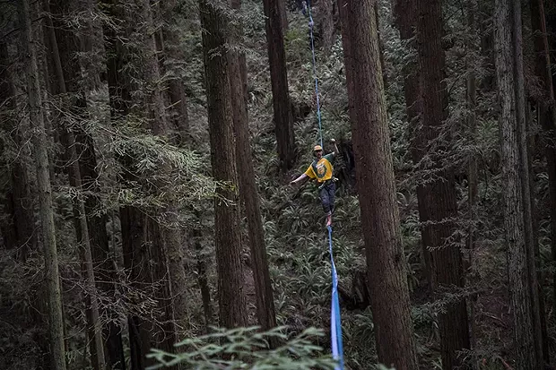 Joey Croft walking in the middle of the midline that measured to be 400 feet in the Arcata Community Forest. - SAM ARMANINO