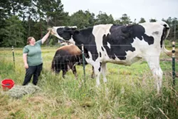 ncj.insider.biggest.steer.dsc_1099.jpg