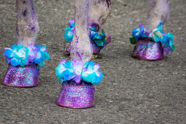 Even the horses added some glitter and flowers before participating in the parade. - PHOTO BY MARK LARSON