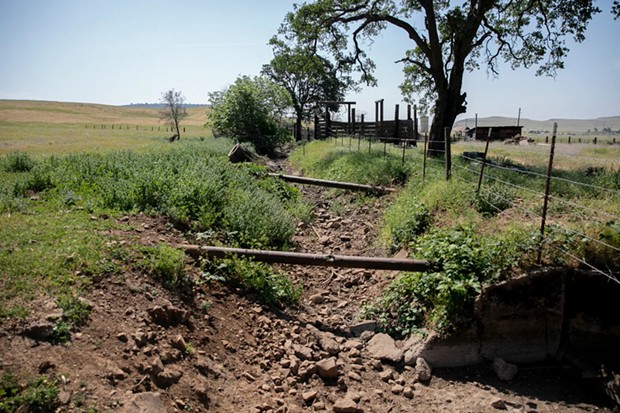 A creek that once ran through Megan Brown's property is already dry before the summer comes on April 22, 2021