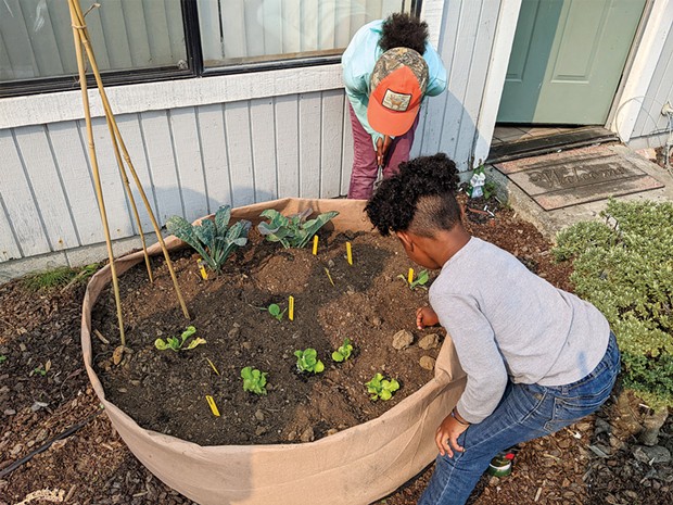 Cooperation Humboldt's Mini Garden Project, which provides families with gardening materials and education, is one of 10 projects that is funded by the county's ACEs Collaborative Partnership grant.