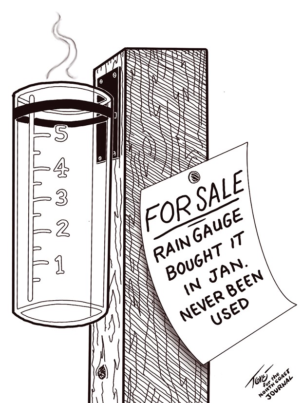 For Sale - Rain Gauge