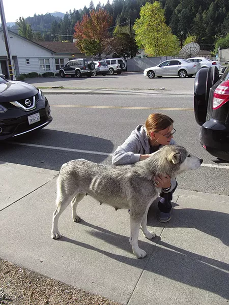 Strays News North Coast Journal