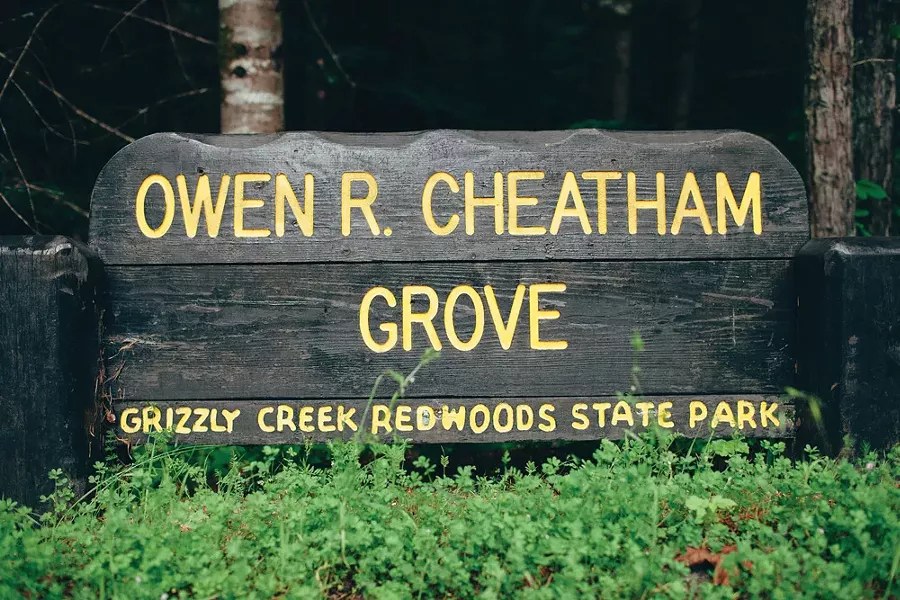 Cheatham Grove - PHOTO BY LEÓN VILLAGÓMEZ