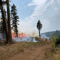 Smoky Skies from Red Salmon, Other Fires