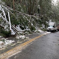 Downed trees and power lines, as well as vehicles stuck in the snow, prompted Caltrans to close U.S. Highway 101 entirely multiple times between Feb. 23 and Feb. 28.