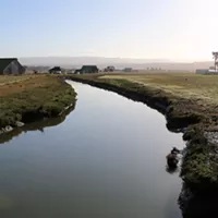 The Arcata Bottom is a bucolic sight, almost all mornings.