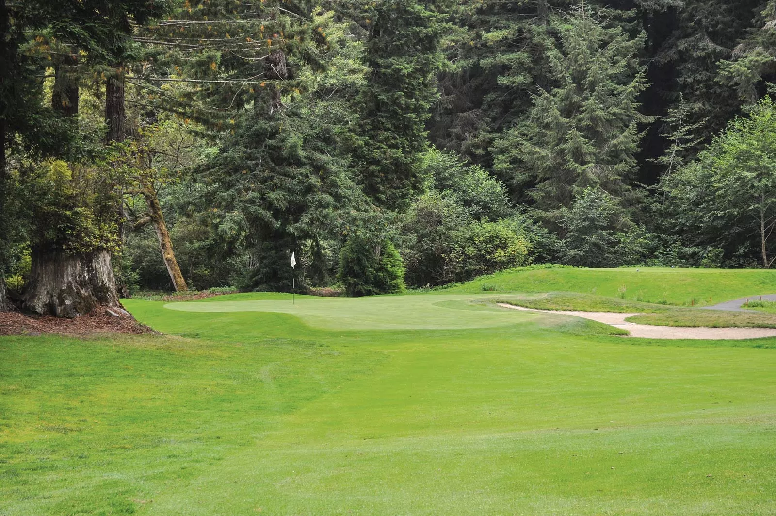 Humboldt Greens Adventure Humboldt Insider