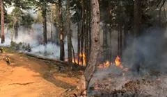 Red Salmon Complex Fire Update