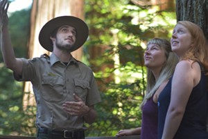 Interpreter Guided Redwood Forest Hike