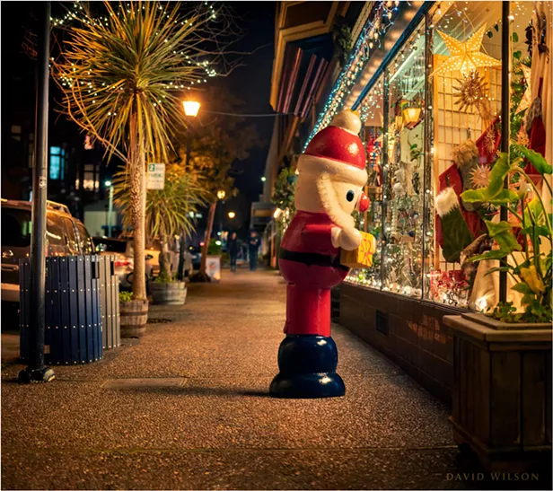 North Coast Night Lights Holiday Magic News Blog