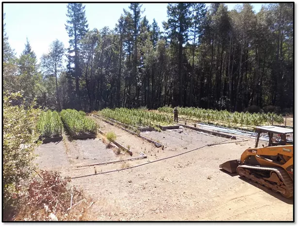 Piling Up | News | North Coast Journal - Vimarsana News