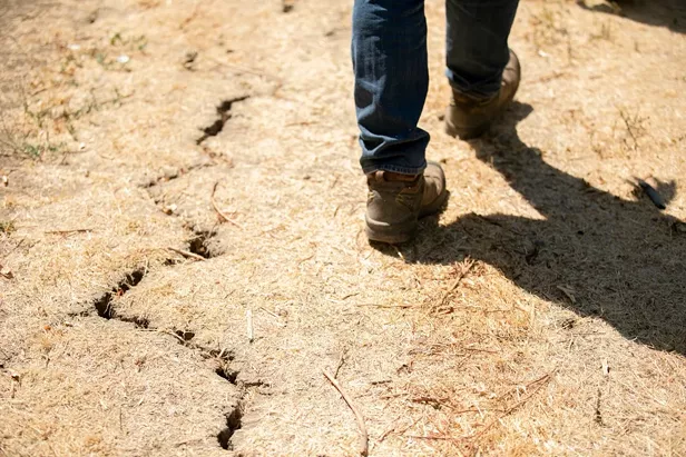 No, California's Drought Isn't Over. Here's Why. - Vimarsana News