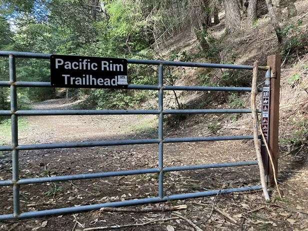 Lost Coast Trail Stewards Work Day - Pacific Rim Trail - Vimarsana News