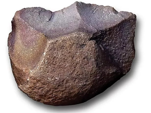 Language: 100,000 or 1 Million Years Old? - Vimarsana News