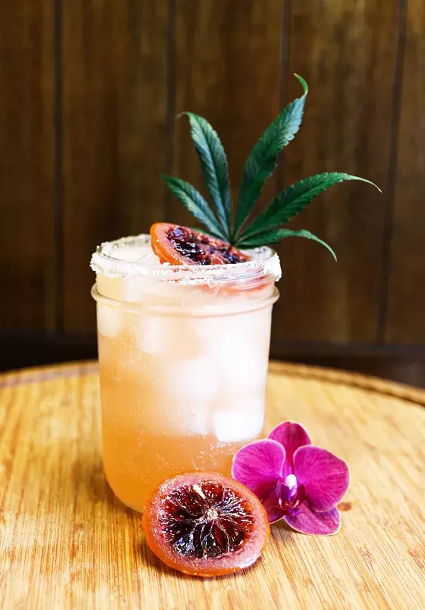 Rise of the Cannabis Mocktail - Vimarsana News