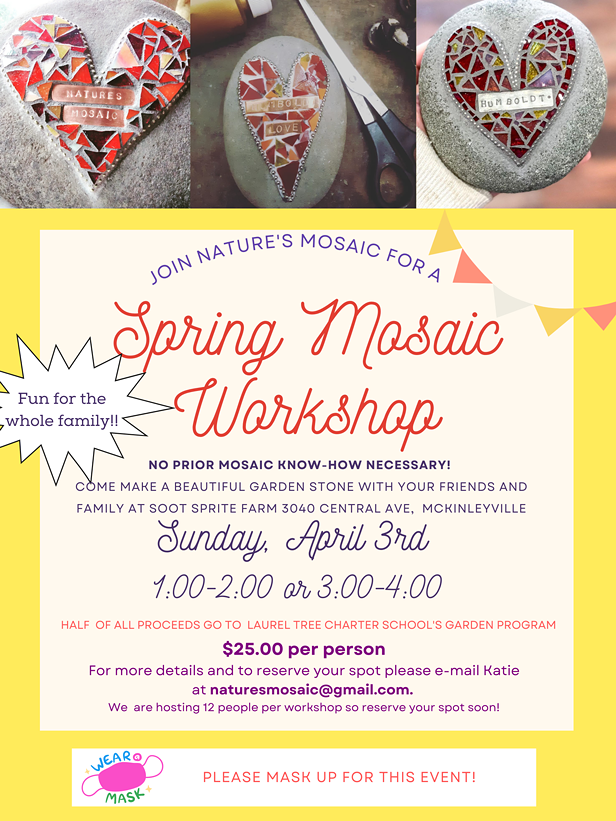 Mosaic Garden Stone Workshop - Vimarsana News