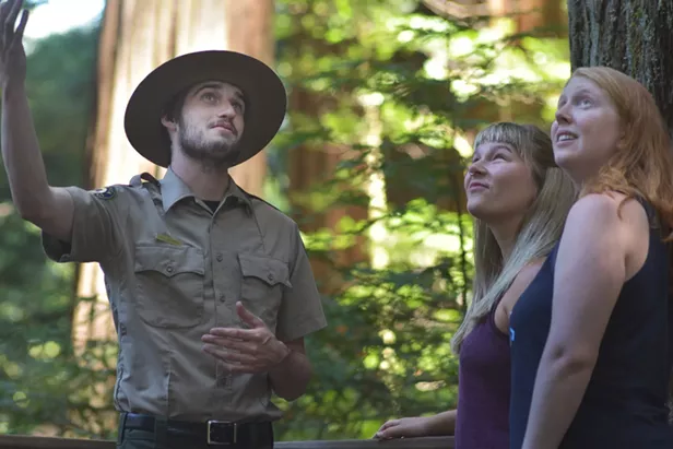 Interpreter Guided Redwood Forest Hike - Vimarsana News