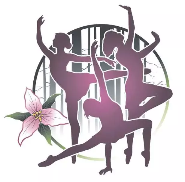 Young Dancer Summer Sessions - Vimarsana News