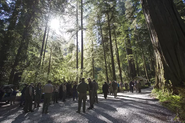 Protecting the Titans: New Trail Provides Safe Access to Ancient Grove - Vimarsana News