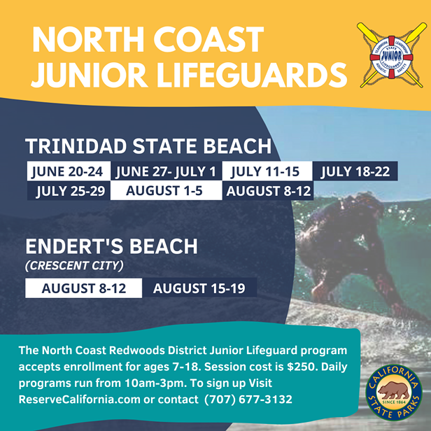 North Coast Junior Lifeguard Program - Vimarsana News