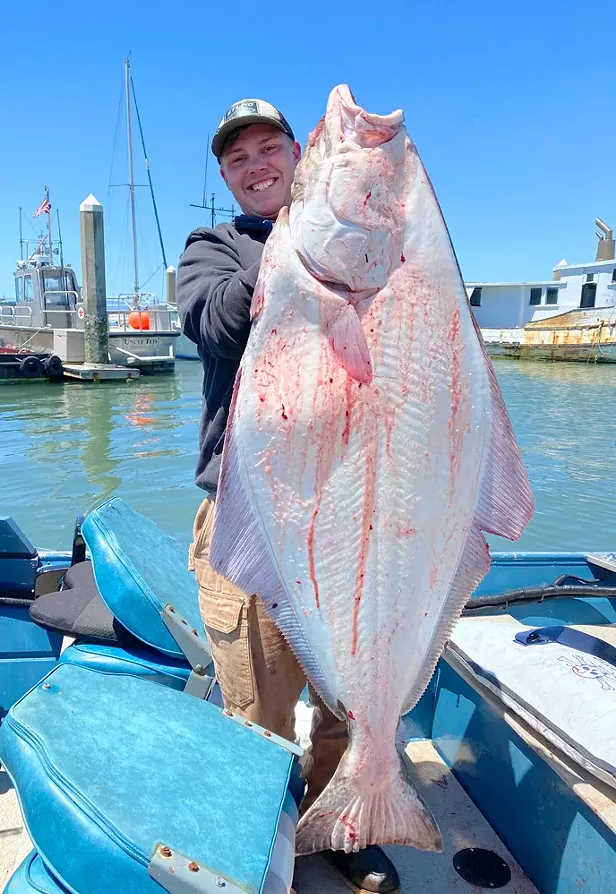 Pacific Halibut Quota Nearly Met - Vimarsana News