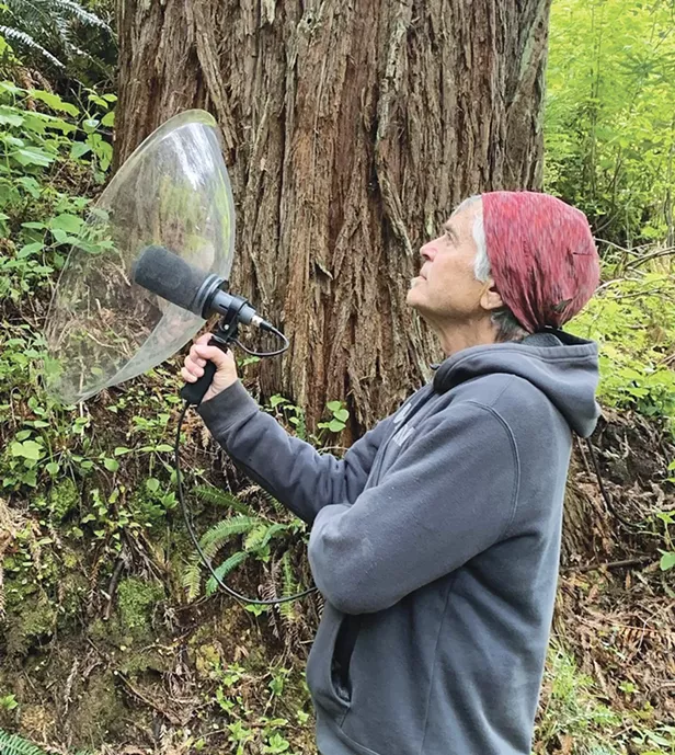 Earbirding Humboldt - Vimarsana News