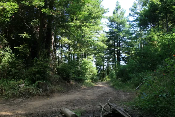 Trail Building at the McKay Community Forest - Vimarsana News
