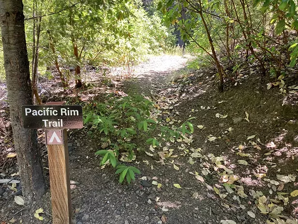Lost Coast Trail Stewards Work Day - Pacific Rim Trail via Low Gap - Vimarsana News