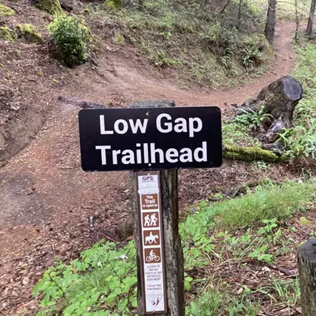 Lost Coast Trail Stewards Work Day - Low Gap Trail - Vimarsana News