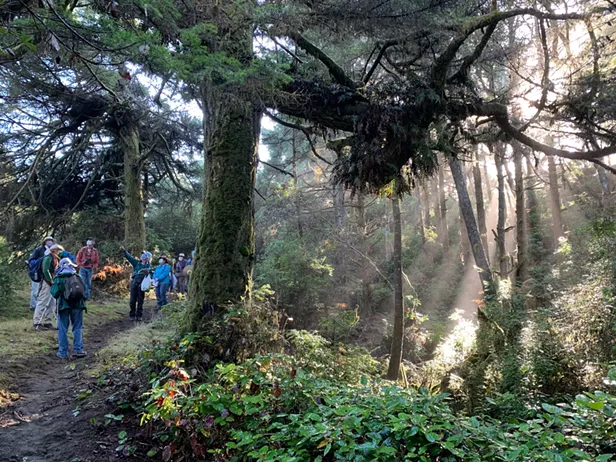 Samoa Dunes and Wetlands Guided Walk - Vimarsana News