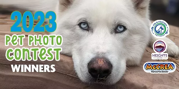 2023 Pet Photo Contest Winners - Vimarsana News