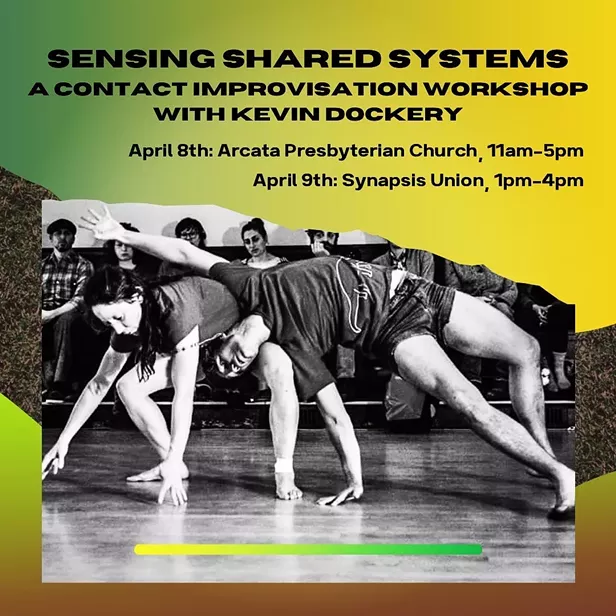 Sensing Shared Systems - Vimarsana News