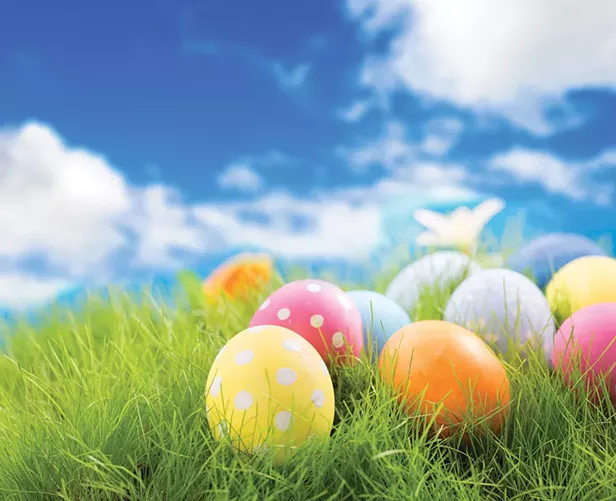 Hoppin' Easter Happenings - Vimarsana News