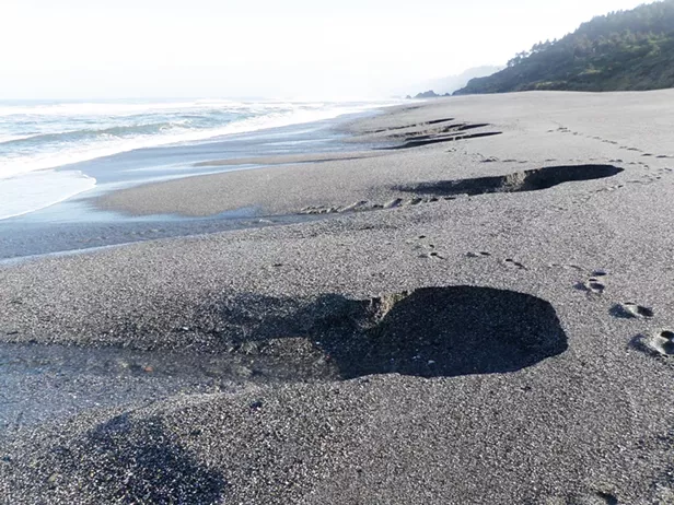 Humboldt's Lagoons - Vimarsana News