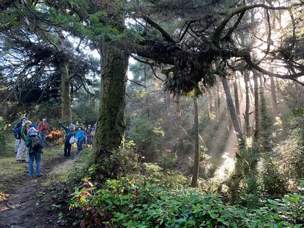Samoa Dunes & Wetlands Guided Walk - Vimarsana News