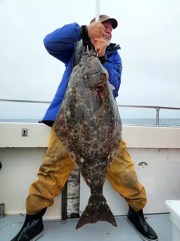 End in Sight for Pacific Halibut Season - Vimarsana News