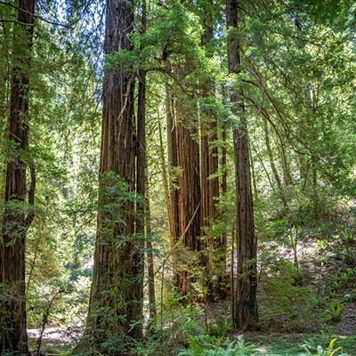 Shelter In Place Hikes