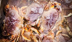 AMY KUMLER - Dungeness crab